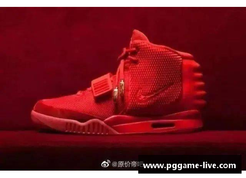 PG模拟器球鞋代言大咖：探索影响力背后的商业模式 - 副本